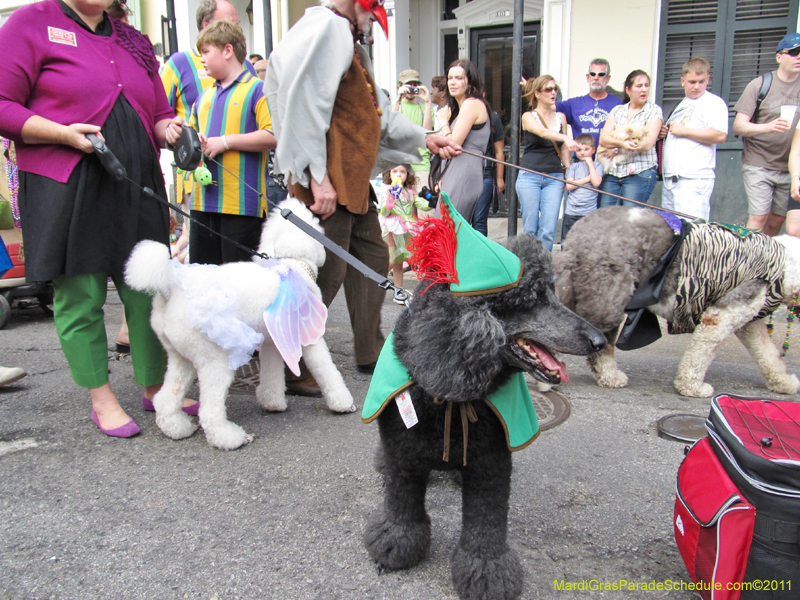 Mystic-Krewe-of-Barkus-HC-2011-0178