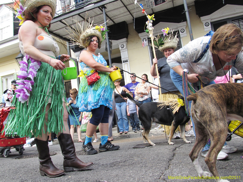 Mystic-Krewe-of-Barkus-HC-2011-0183