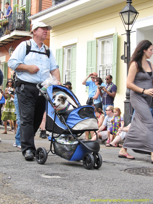 Mystic-Krewe-of-Barkus-HC-2011-0185