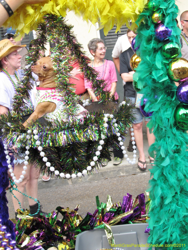 Mystic-Krewe-of-Barkus-HC-2011-0187