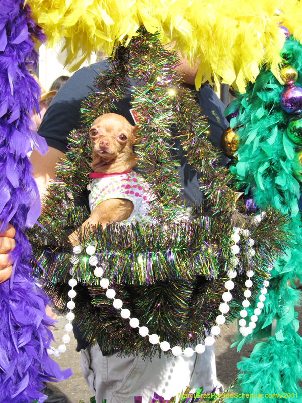 Mystic-Krewe-of-Barkus-HC-2011-0188