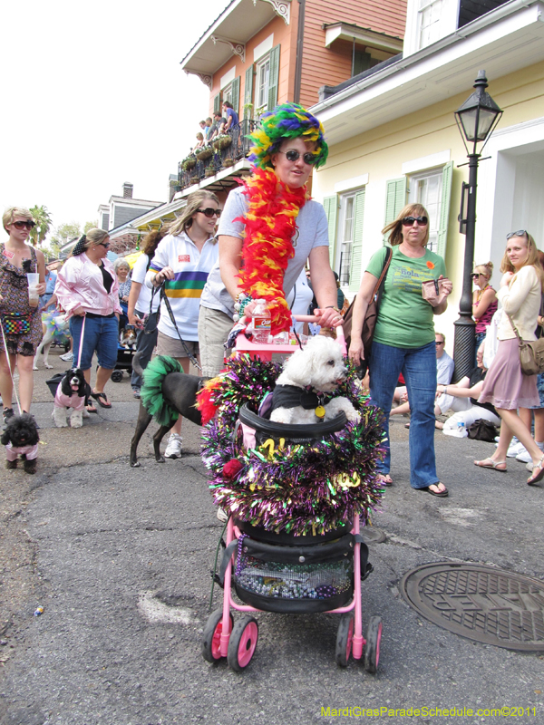 Mystic-Krewe-of-Barkus-HC-2011-0191