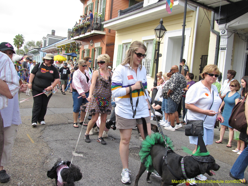 Mystic-Krewe-of-Barkus-HC-2011-0192