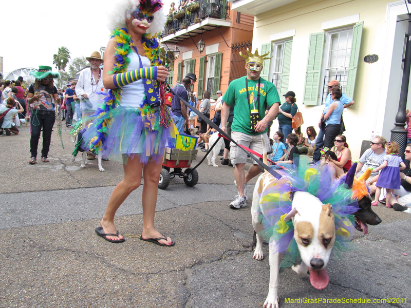 Mystic-Krewe-of-Barkus-HC-2011-0193