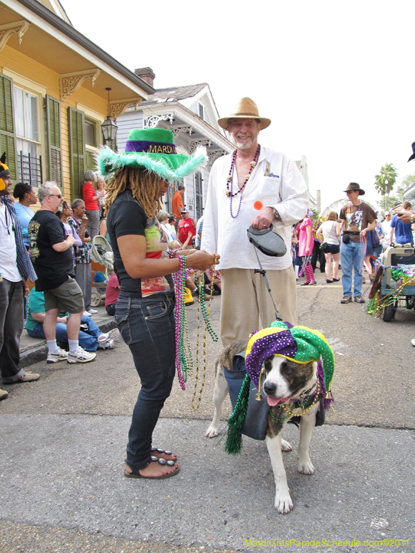 Mystic-Krewe-of-Barkus-HC-2011-0194