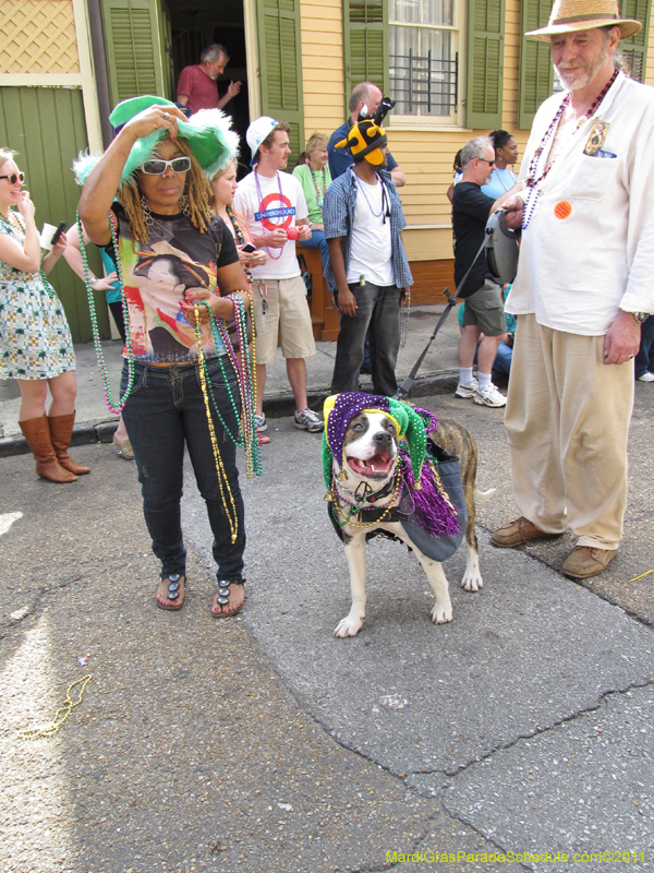 Mystic-Krewe-of-Barkus-HC-2011-0195