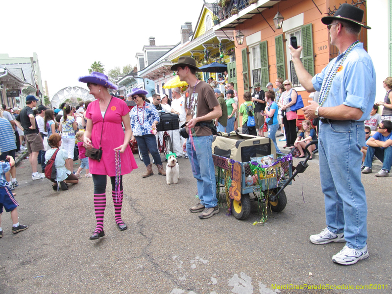 Mystic-Krewe-of-Barkus-HC-2011-0196