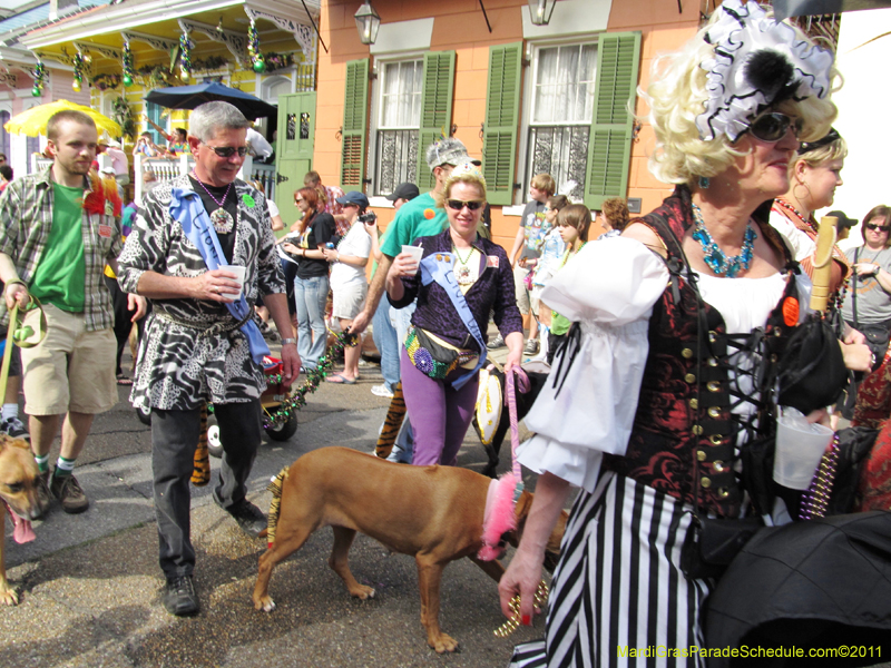 Mystic-Krewe-of-Barkus-HC-2011-0203