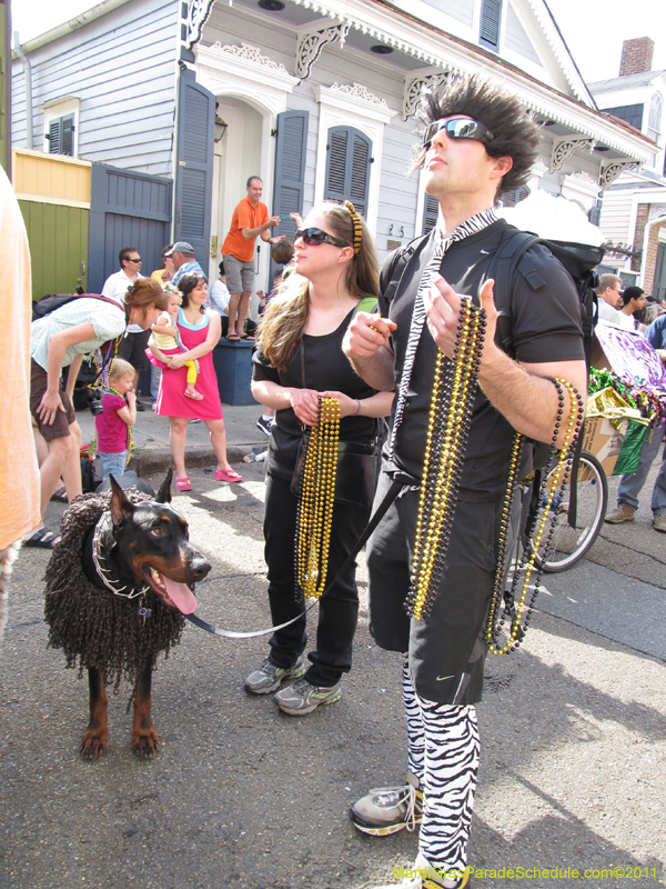 Mystic-Krewe-of-Barkus-HC-2011-0214