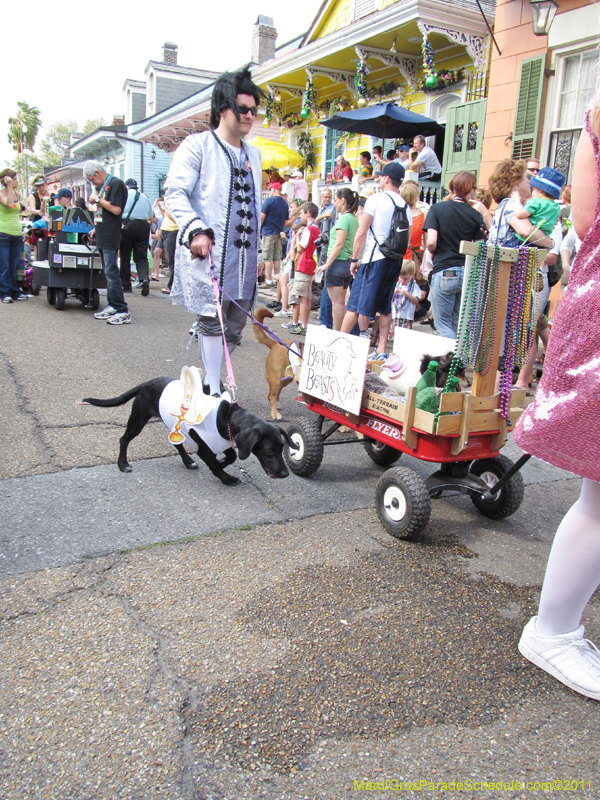 Mystic-Krewe-of-Barkus-HC-2011-0219