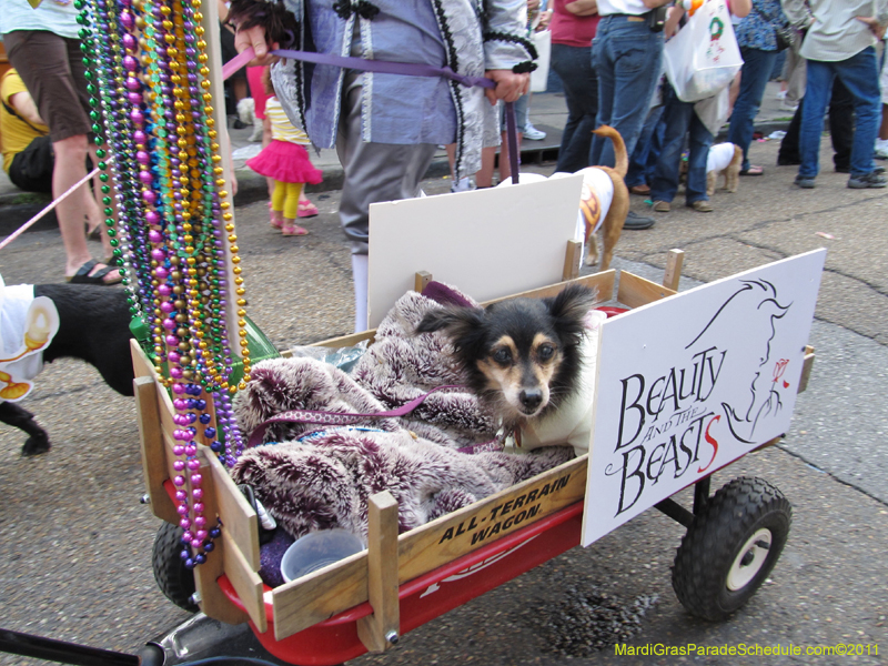 Mystic-Krewe-of-Barkus-HC-2011-0220