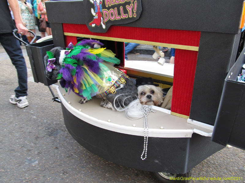 Mystic-Krewe-of-Barkus-HC-2011-0223