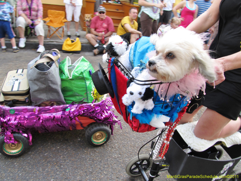 Mystic-Krewe-of-Barkus-HC-2011-0224