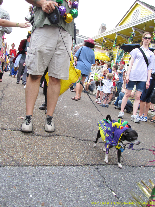 Mystic-Krewe-of-Barkus-HC-2011-0232