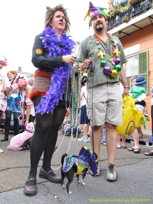 Mystic-Krewe-of-Barkus-HC-2011-0233