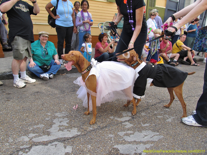 Mystic-Krewe-of-Barkus-HC-2011-0238