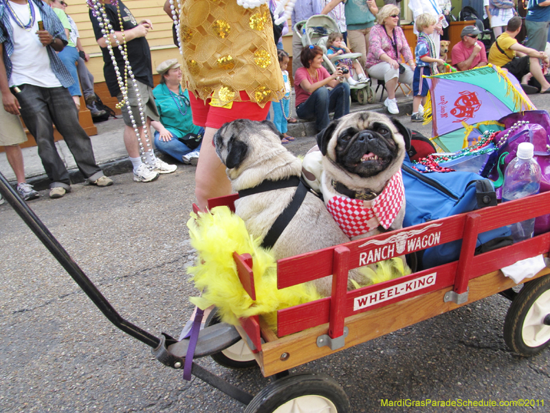 Mystic-Krewe-of-Barkus-HC-2011-0239