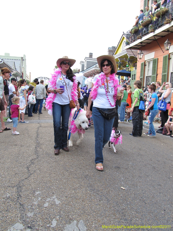 Mystic-Krewe-of-Barkus-HC-2011-0240