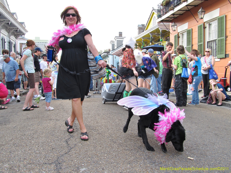 Mystic-Krewe-of-Barkus-HC-2011-0241