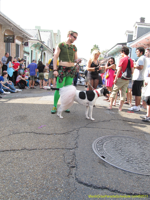 Mystic-Krewe-of-Barkus-HC-2011-0246