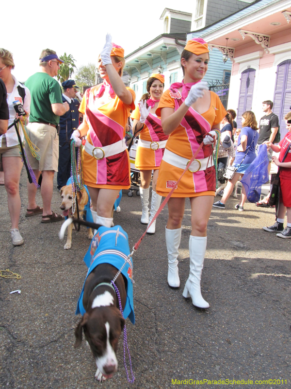 Mystic-Krewe-of-Barkus-HC-2011-0249