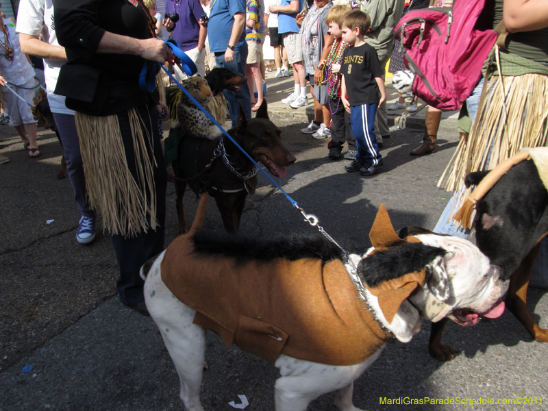 Mystic-Krewe-of-Barkus-HC-2011-0256