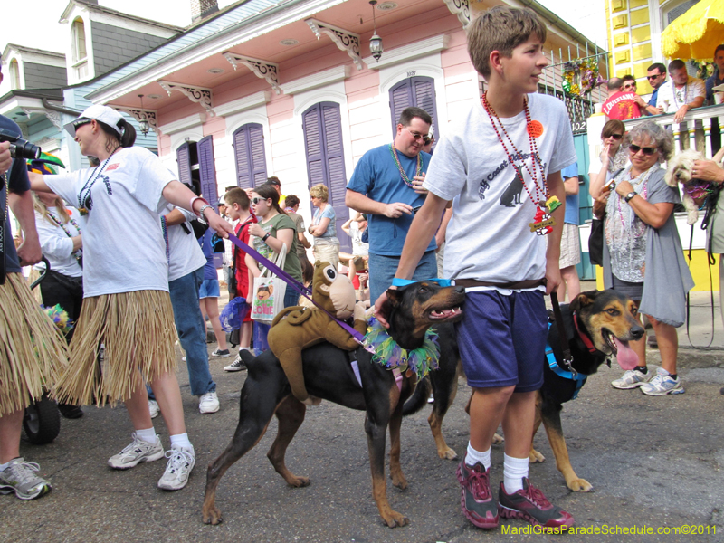 Mystic-Krewe-of-Barkus-HC-2011-0258