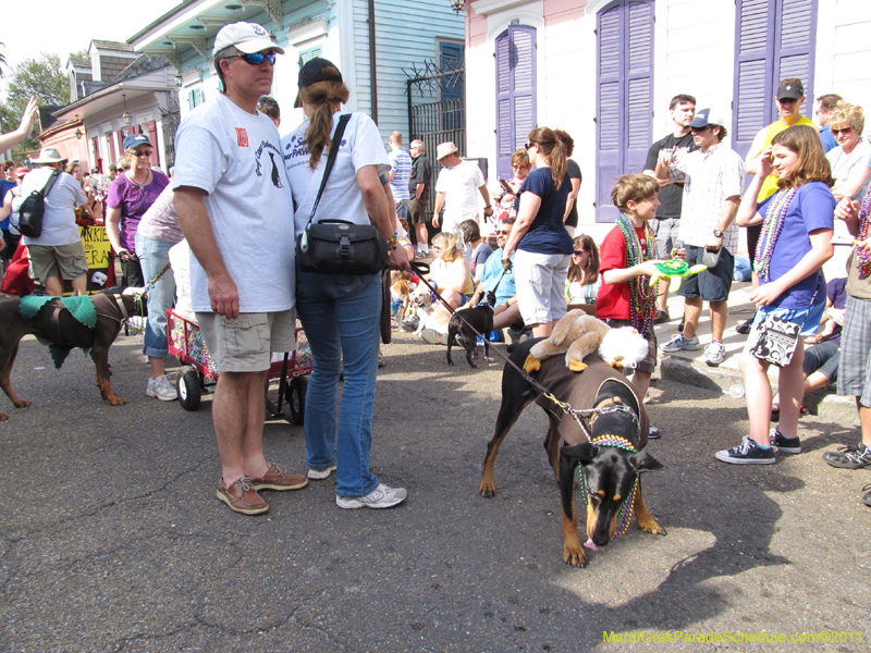 Mystic-Krewe-of-Barkus-HC-2011-0259