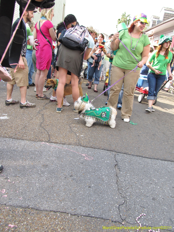 Mystic-Krewe-of-Barkus-HC-2011-0262