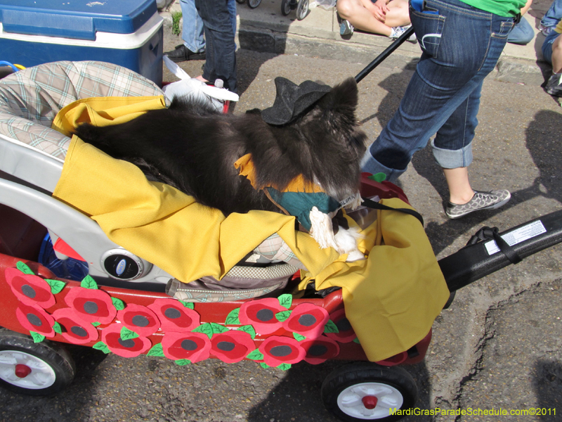 Mystic-Krewe-of-Barkus-HC-2011-0265