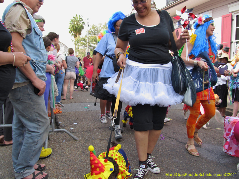 Mystic-Krewe-of-Barkus-HC-2011-0268