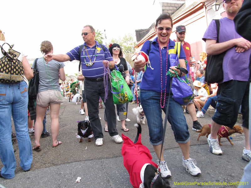 Mystic-Krewe-of-Barkus-HC-2011-0270