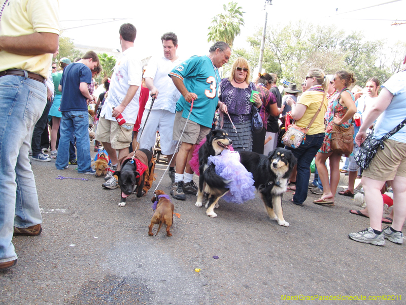 Mystic-Krewe-of-Barkus-HC-2011-0274