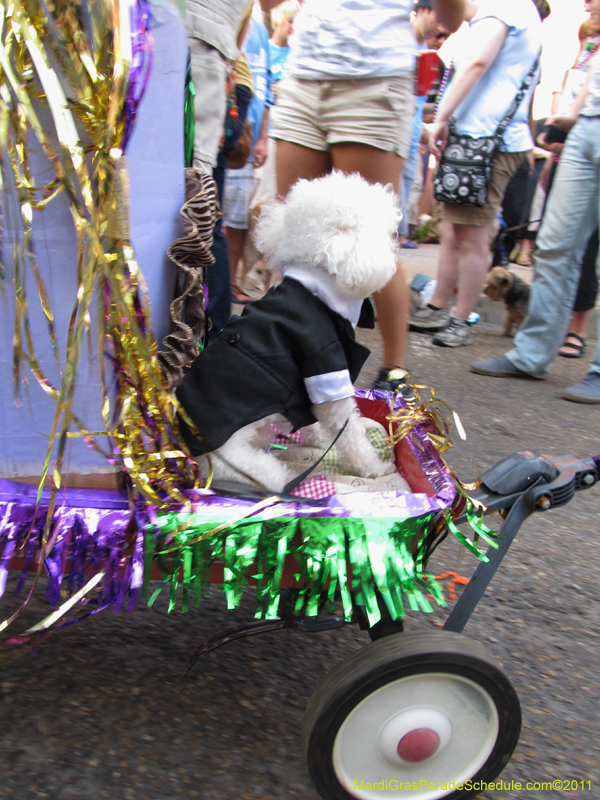 Mystic-Krewe-of-Barkus-HC-2011-0282