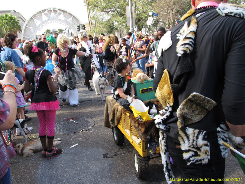 Mystic-Krewe-of-Barkus-HC-2011-0288