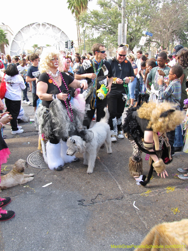 Mystic-Krewe-of-Barkus-HC-2011-0289