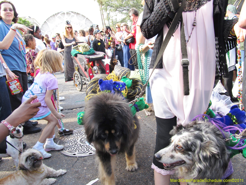 Mystic-Krewe-of-Barkus-HC-2011-0293