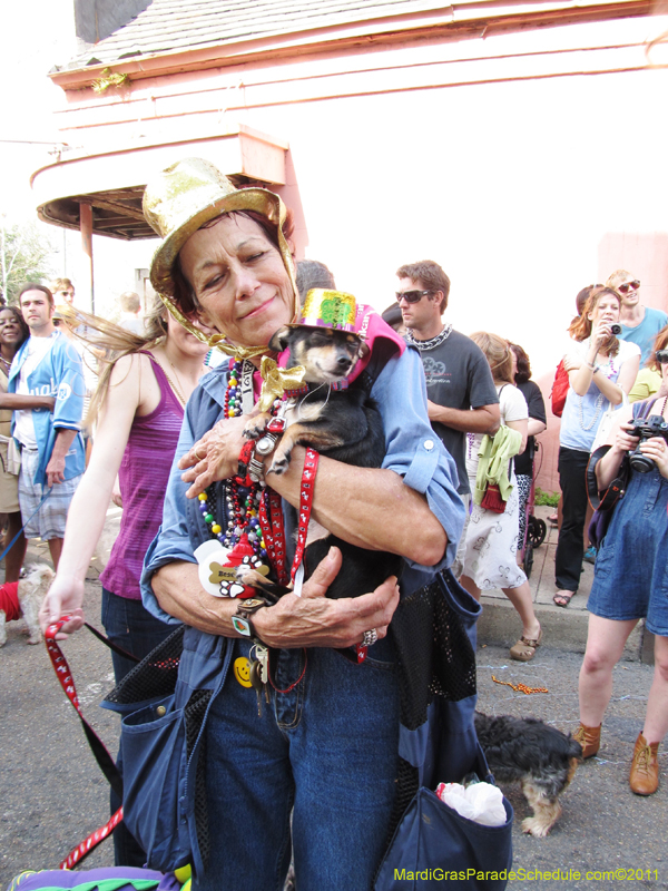 Mystic-Krewe-of-Barkus-HC-2011-0302