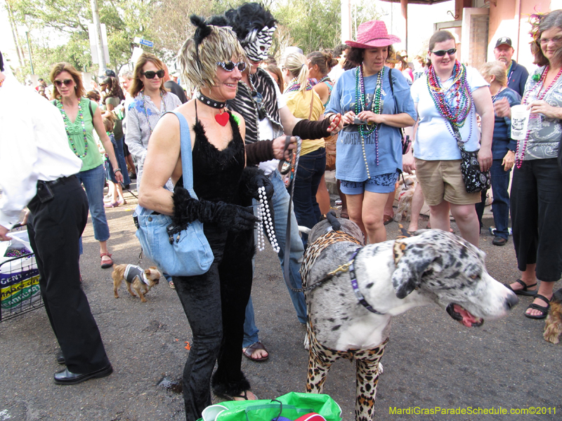 Mystic-Krewe-of-Barkus-HC-2011-0305