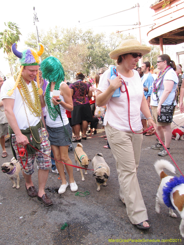 Mystic-Krewe-of-Barkus-HC-2011-0311