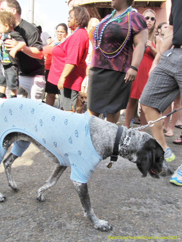 Mystic-Krewe-of-Barkus-HC-2011-0319