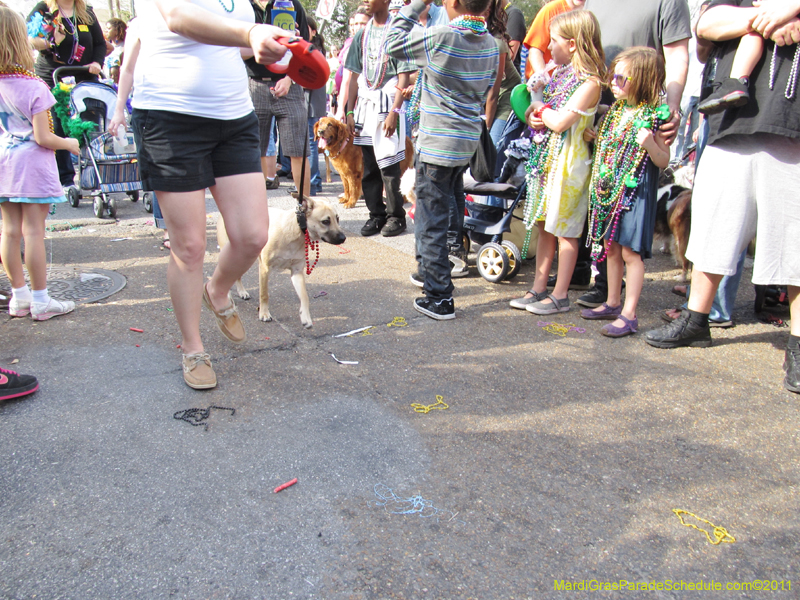 Mystic-Krewe-of-Barkus-HC-2011-0323