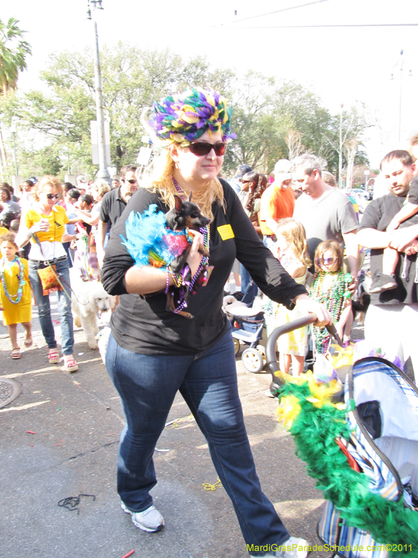 Mystic-Krewe-of-Barkus-HC-2011-0324