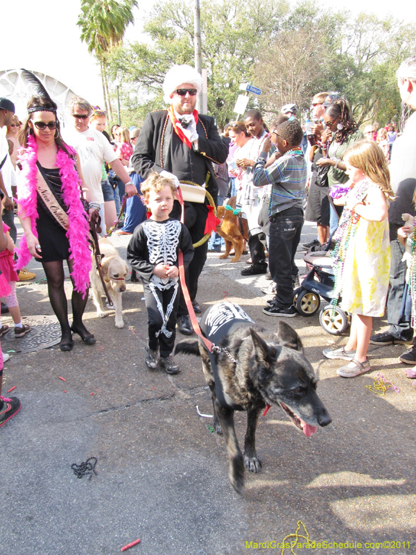 Mystic-Krewe-of-Barkus-HC-2011-0329