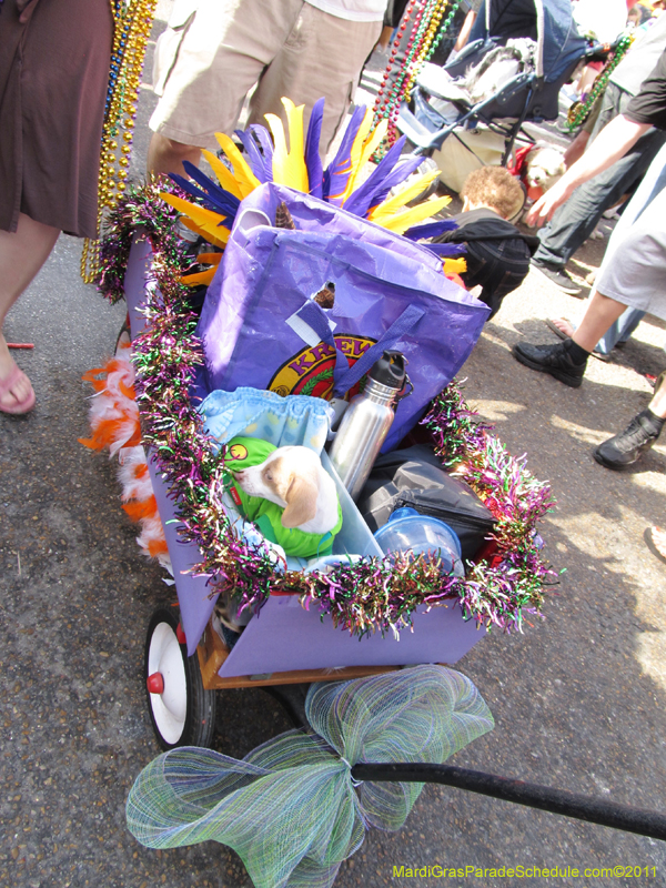 Mystic-Krewe-of-Barkus-HC-2011-0331