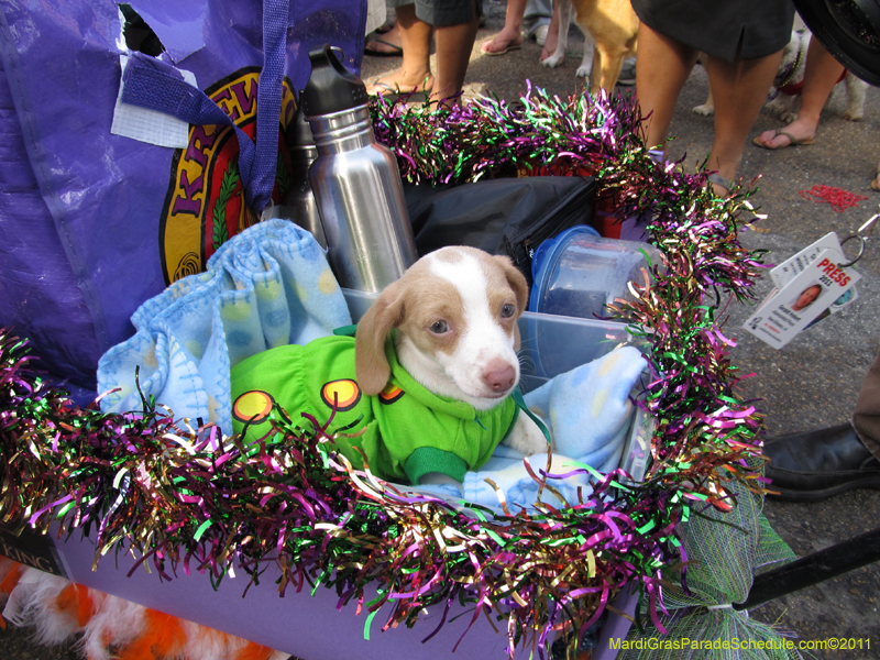 Mystic-Krewe-of-Barkus-HC-2011-0332