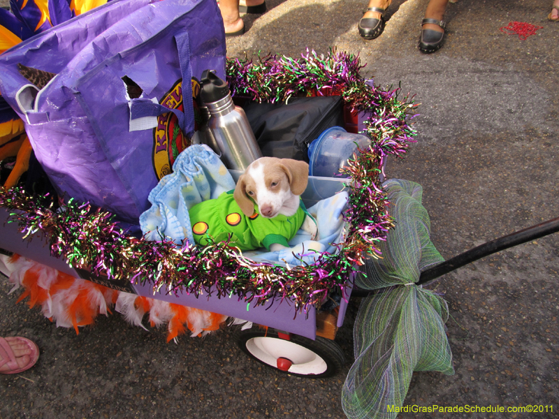 Mystic-Krewe-of-Barkus-HC-2011-0333