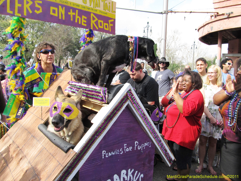 Mystic-Krewe-of-Barkus-HC-2011-0338