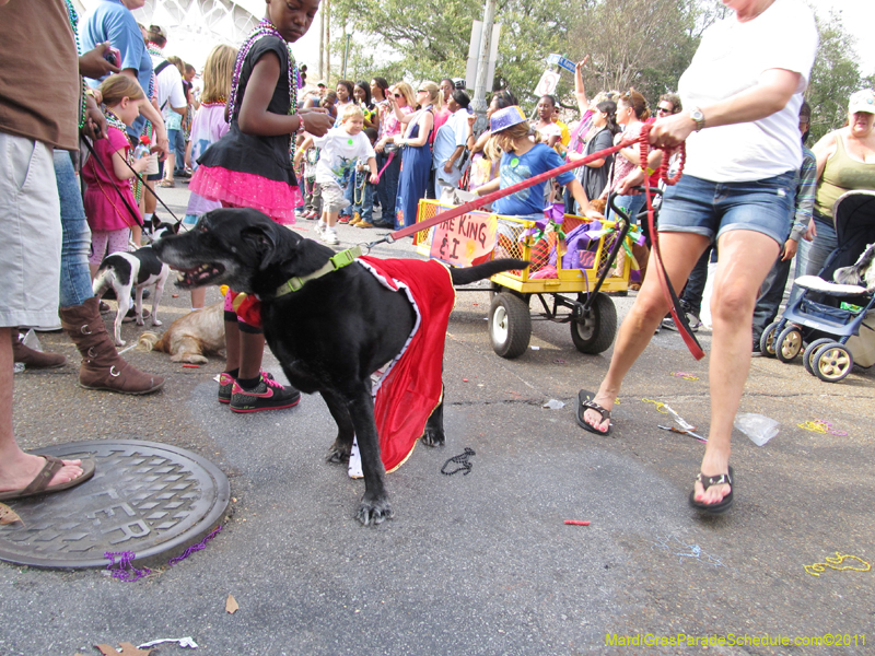 Mystic-Krewe-of-Barkus-HC-2011-0348