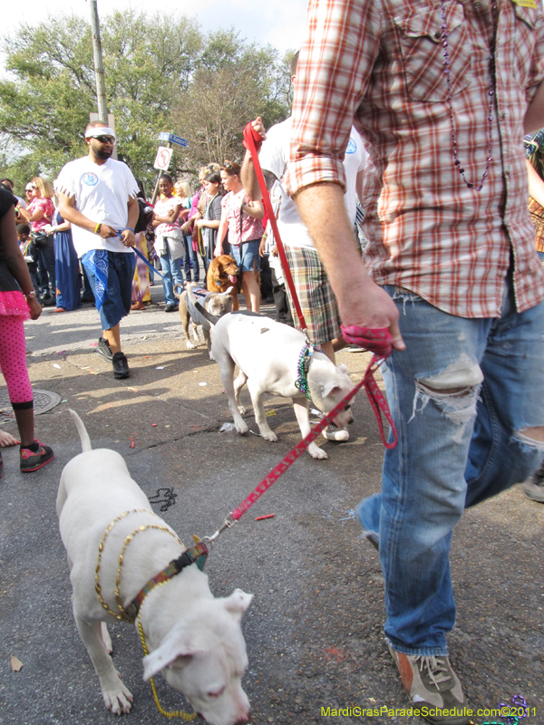 Mystic-Krewe-of-Barkus-HC-2011-0351